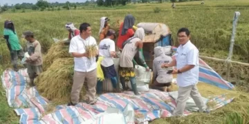 Stok Beras Bulog di Sumut Cukup Dua Bulan ke Depan