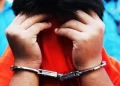 Kepolisian Taput mengungkap praktik jual beli satwa dilindungi