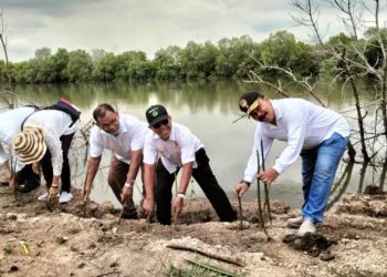 Dukung Konservasi Mangrove, PPAD Sumut Ajak Berbagai Pihak Kolaborasi