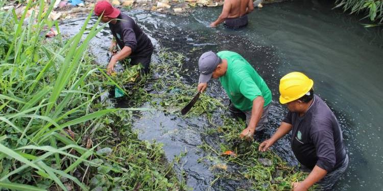 Kecamatan Medan Helvetia Gotong Royong Bersihkan Sungai Bederah