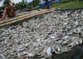 Masyarakat dan Pedagang di Pematangsiantar Keluhkan Tingginya Harga Ikan Asin