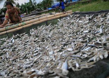 Masyarakat dan Pedagang di Pematangsiantar Keluhkan Tingginya Harga Ikan Asin