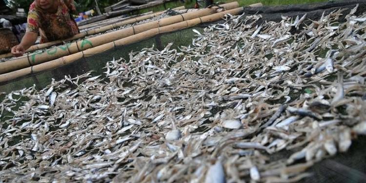 Masyarakat dan Pedagang di Pematangsiantar Keluhkan Tingginya Harga Ikan Asin