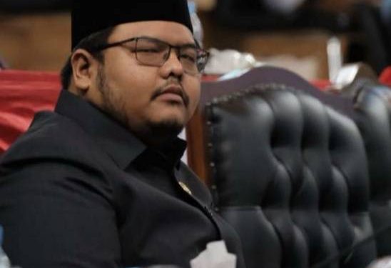 T.Edriansyah Minta Pemko Medan Antisipasi Wabah Cacar Monyet