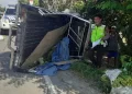 PNS Deli Serdang Tewas Ditabrak Pikap