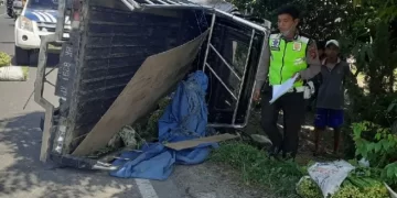 PNS Deli Serdang Tewas Ditabrak Pikap