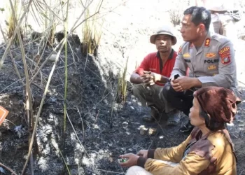 Polda Sumut tangkap dua pelaku pembakaran hutan di Samosir