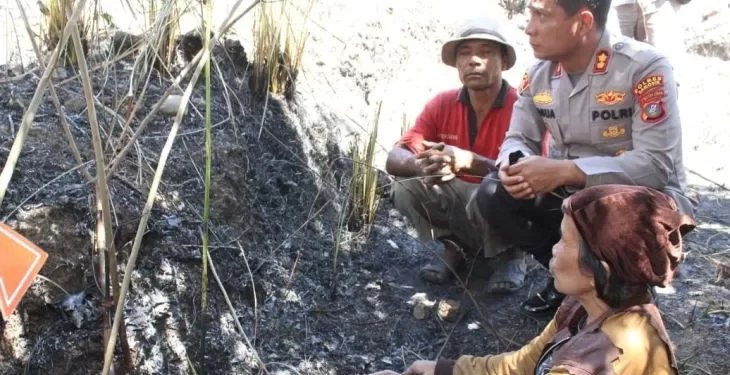Polda Sumut tangkap dua pelaku pembakaran hutan di Samosir