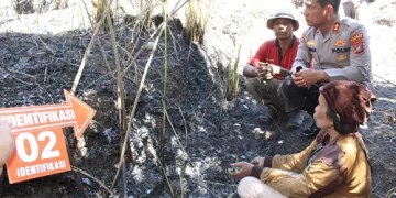 Dua Pelaku Pembakaran Hutan di Perbukitan Danau Toba Diamankan Polisi