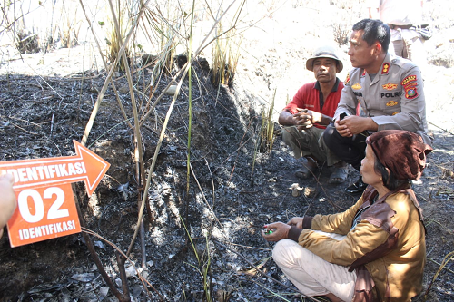 Dua Pelaku Pembakaran Hutan di Perbukitan Danau Toba Diamankan Polisi