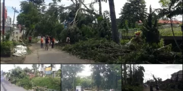 Sampah Sisa Pemotongan Pohon Tumbang di Siantar Masih Numpuk di Pinggiran Jalan
