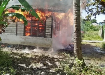 Rumah Dilalap Api Wanita 70 Tahun Tewas Terbakar