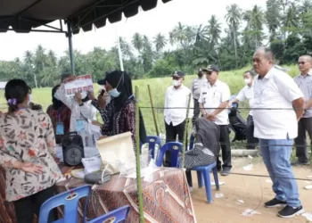 Ini Hasil Pilkades Serentak di 89 Desa Se-Asahan