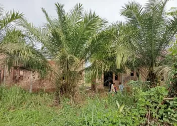 Bangunan Rumah Dinas Polresta Deli Serdang Tanpa Plang SIMB