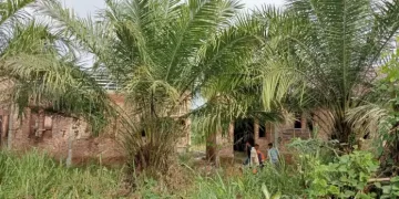Bangunan Rumah Dinas Polresta Deli Serdang Tanpa Plang SIMB