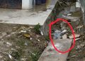 Gawat, RSUD Dolok Sanggul Ogah Laporkan Jumlah Limbah Medis Infeksius ke Dislup Humbahas