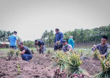 Dalam rangka mendukung peningkatan ketahanan pangan nasional, Wali Kota Padang Sidempuan ingin wujudkan ketahanan pangan