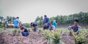 Dalam rangka mendukung peningkatan ketahanan pangan nasional, Wali Kota Padang Sidempuan ingin wujudkan ketahanan pangan