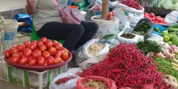 Harga Cabai Merah Berangsur Turun di Siantar