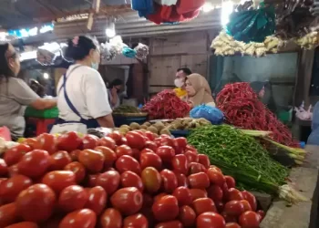 Harga Cabai Kembali Naik Bukan Karena Isu BBM Naik, Ternyata Ini Penyebabnya