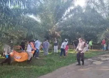 Mayat Wanita Ditemukan Membusuk di Areal PTPN IV Kebun Pabatu