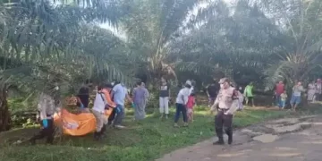 Mayat Wanita Ditemukan Membusuk di Areal PTPN IV Kebun Pabatu