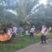 Mayat Wanita Ditemukan Membusuk di Areal PTPN IV Kebun Pabatu