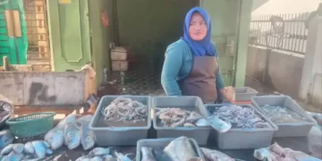 Harga BMM Naik, Harga Ikan Laut di Deli Serdang Ikut Melonjak