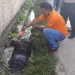 THL Kebersihan DLH Dairi Ditemukan Tewas di Parit, Warga Sidikalang Heboh