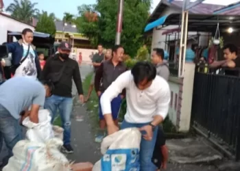 Puluhan Kilo Ganja di Tumpukan Pisang, Poldasu Gagalkan Penyelundupan
