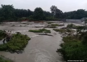 Berniat Menangkap Ikan, Seorang Pemuda Hanyut di Sungai Bah Bolon Marihat