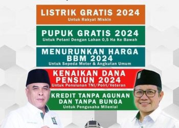 Program Perjuangan PKB