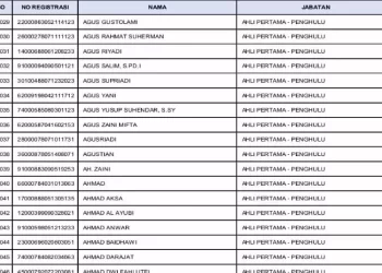 75.083 Orang Lolos Seleksi Administrasi PPPK 2022, Cek Ini Rincian Gaji PPPK Sesuai Golongan
