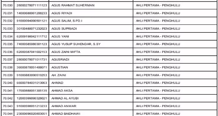 75.083 Orang Lolos Seleksi Administrasi PPPK 2022, Cek Ini Rincian Gaji PPPK Sesuai Golongan