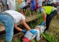 Warga Bilah Hulu Labuhanbatu Ditemukan Tidak Bernyawa Di Areal Kebun PT RSK Pangkatan