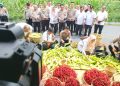 POLDA SUMUT Panen Perdana Jagung dan Cabai Merah, Sebagai Bentuk Dukung Ketahanan Makanan