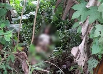 Sebelum Ditemukan Lemas di Semak-semak, ABG Bogor Bertemu Kenalan Medsos