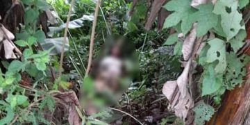 Sebelum Ditemukan Lemas di Semak-semak, ABG Bogor Bertemu Kenalan Medsos