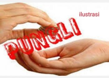 Oknum Lurah Di Belawan Bakal Dilaporkan Terkait Dengan Dugaan Pungli