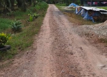 Usut Tuntas 3 Paket Proyek Infrastruktur di Desa Teluk Panji IV!!!!!! Yang Diduga Miliki Kejanggalan