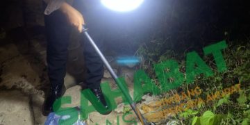 Tim Perintis Polrestabes Medan Temukan 23 Bungkus Ganja di Pinggir Jalan