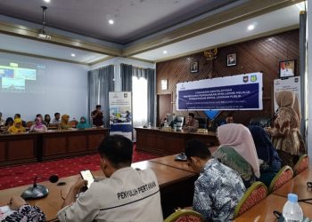 Dukung Peningkatan dan Pemanfaatan SP4N Lapor, Dinas Kominfo SP Selayar Gelar Lokakarya Bersama Tim USAID ERAT