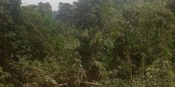 PSR Kampung Berangir Labuhanbatu Utara di Duga Mal Administrasi