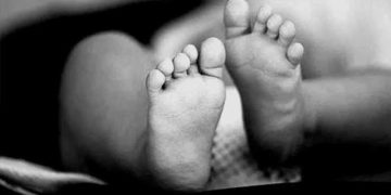 Mayat Bayi di Paketkan Ke Ojek Online