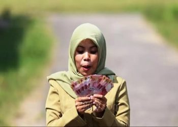 Gaji PPPK Paruh Waktu Honorer Non Database
