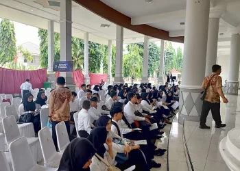 RESMI: BKN Umumkan Jadwal Seleksi PPPK Paruh Waktu 2025, Honorer Wajib Catat Tanggal Penting Ini!
