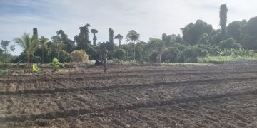 Terbongkar, 8.077,76 Hektare Lahan HGU PTPN2 di Deli Serdang Dikuasai Ciputra, Ini Lokasinya
