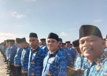 Usulan PPPK Paruh Waktu Tidak Ada Perpanjangan Waktu, Honorer TMS Makin Waswas