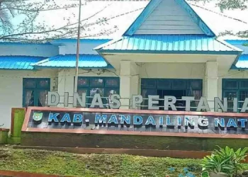 Kabid Dinas Pertanian Madina Jalani Riksus Inspektorat, Terkait Alsintan