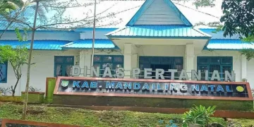 Kabid Dinas Pertanian Madina Jalani Riksus Inspektorat, Terkait Alsintan